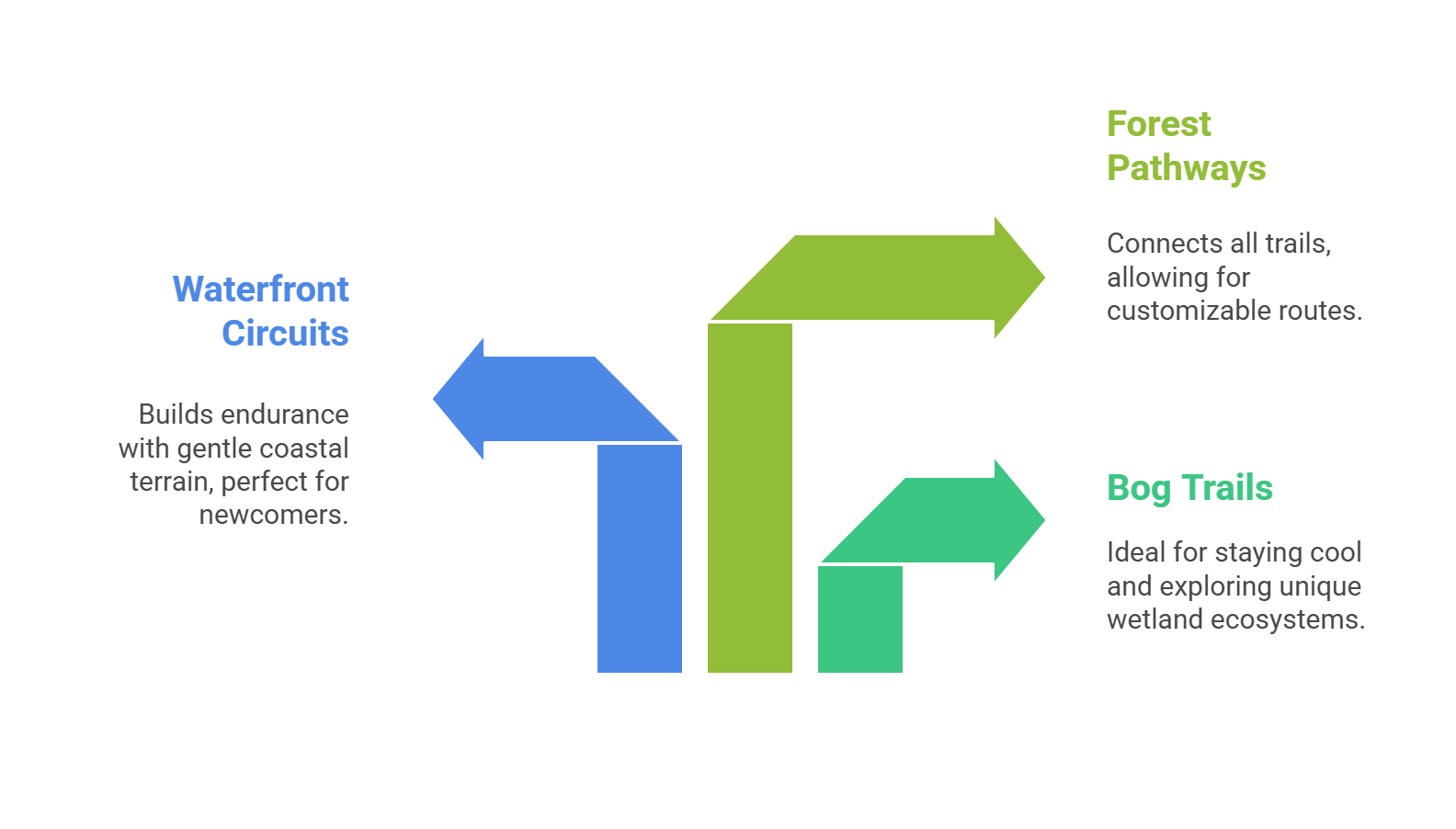 Which Trail Should I Choose In Delta