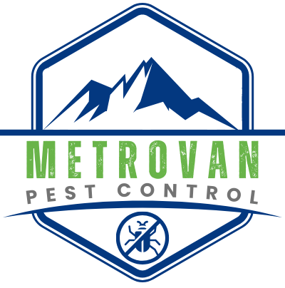 Metrovanpestcontrol e1725171183120 Metrovan Pest Control