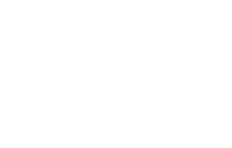 BC Tree Service