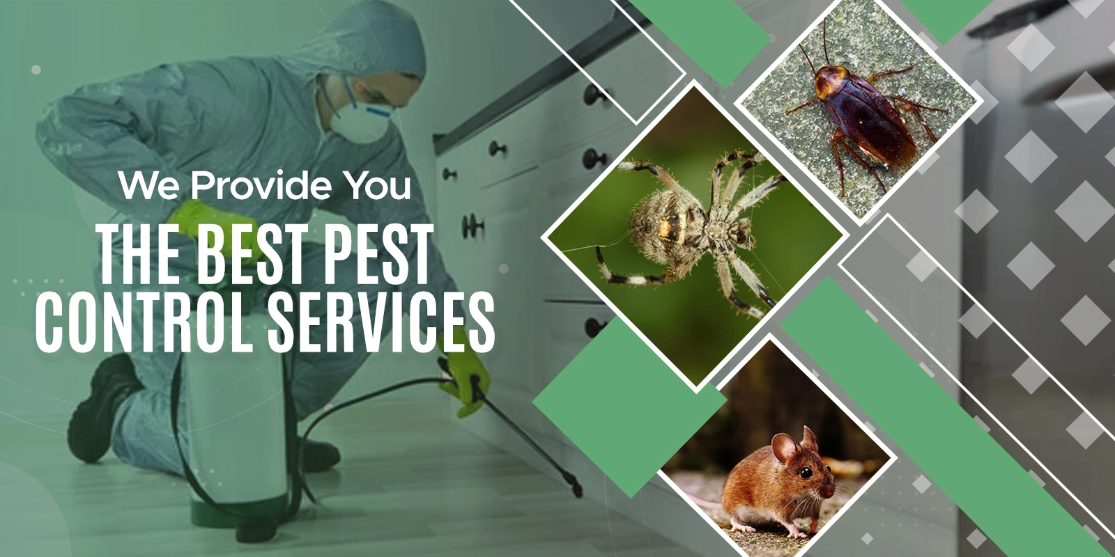 ezgif 5 ae48300c32 pest control surrey bc | pestzap ltd .