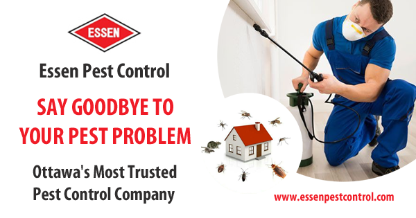 pest control exterminators ottawa Essen Pest Control Ottawa