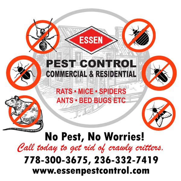 pest control exterminators vancouver bc Pest Control Vancouver BC - Essen Pest Control