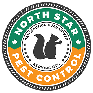 north star logo small 1 All Delta Locals
