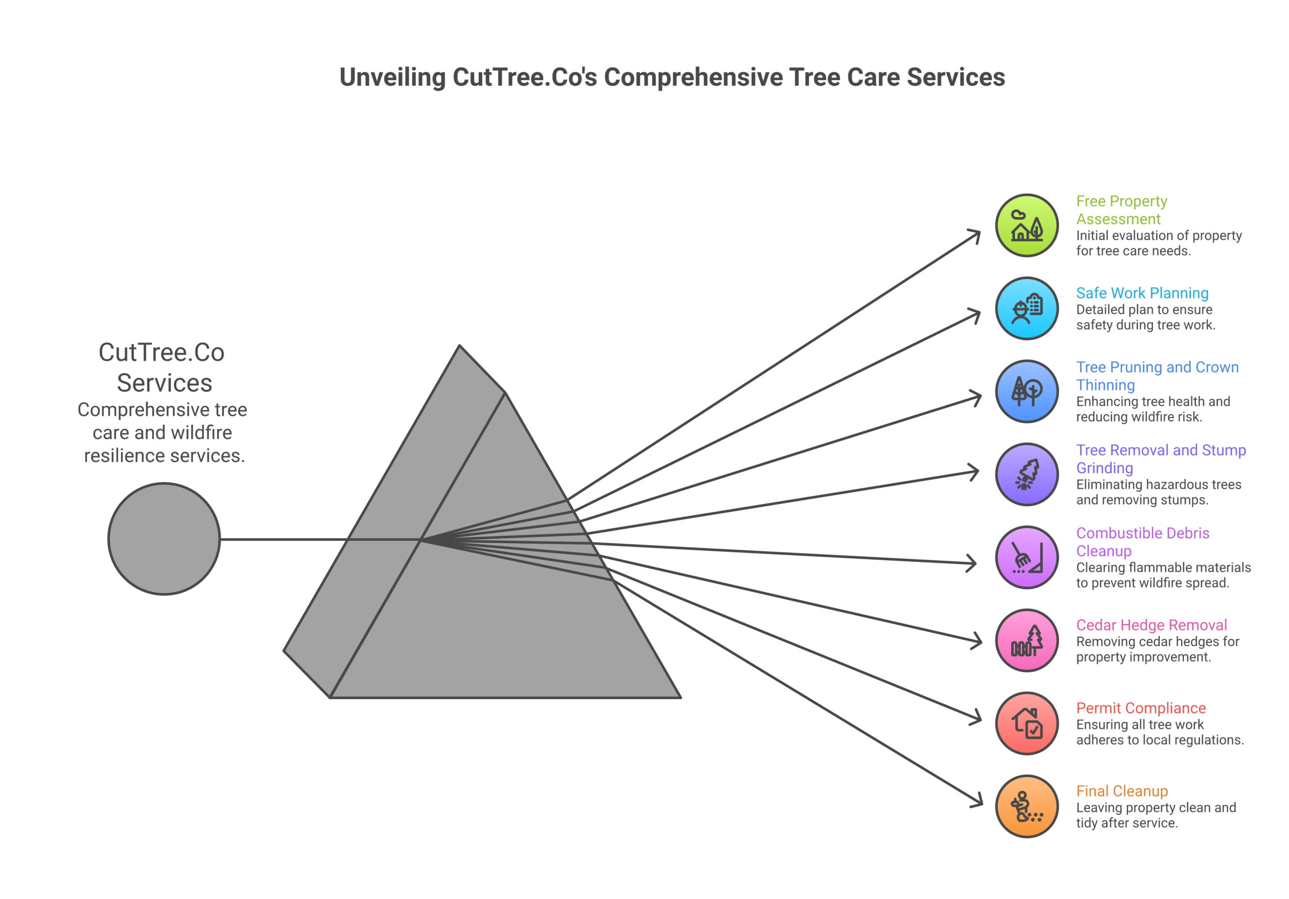 CutTree.Co Kelowna tree care and wildfire resilience process infographic