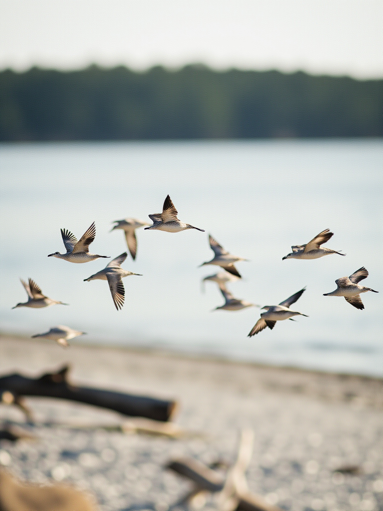 The Beach: Swimming, Walking, and Summer Atmosphere