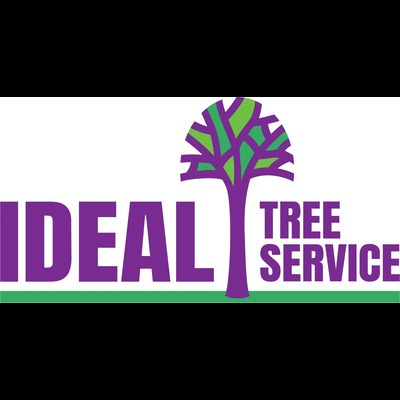 Ideal Tree Service Ideal Tree Service