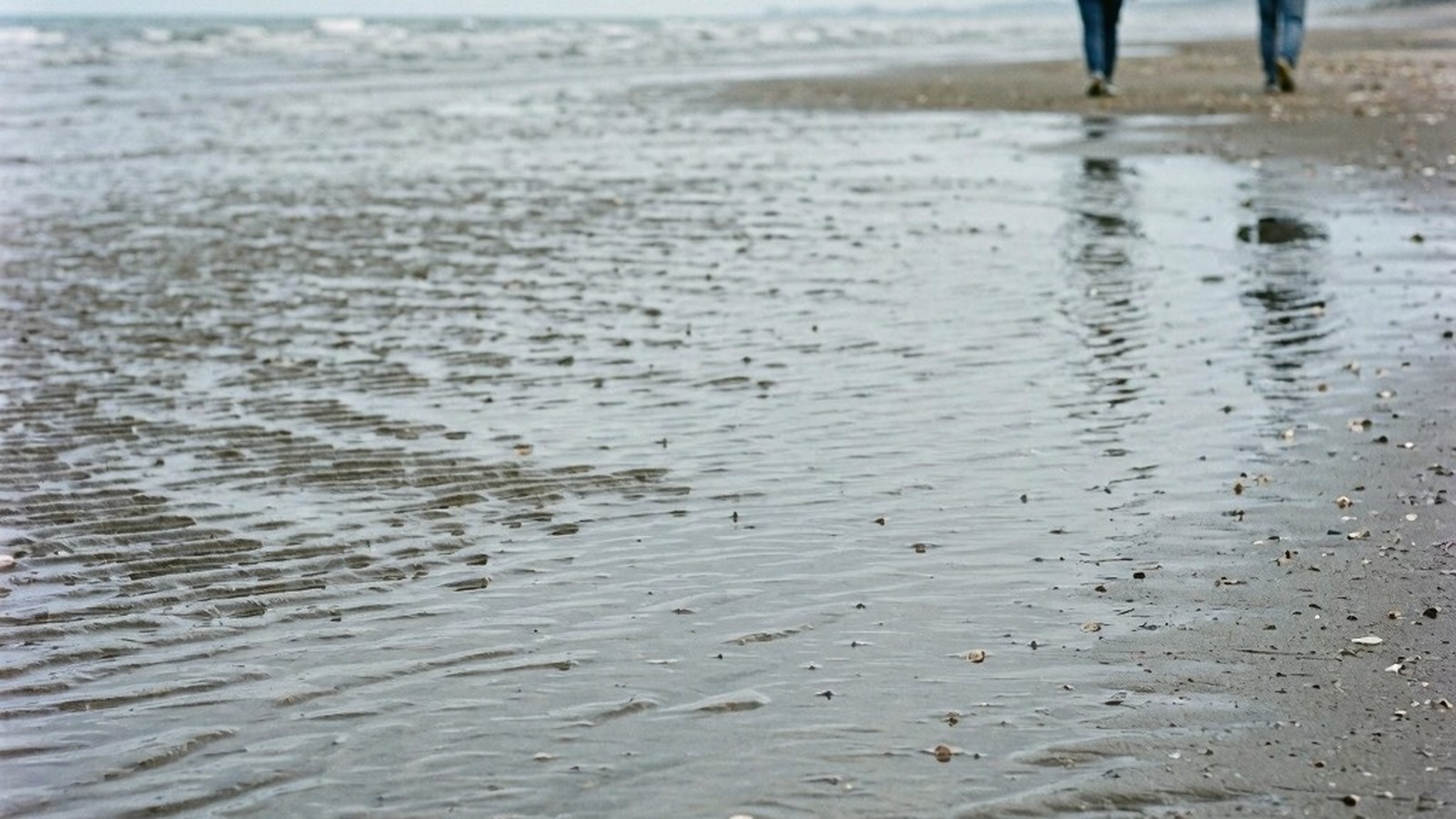 bc day delta sec2 BC Day Long Weekend in Delta: Your Guide to the Tsawwassen Sun Festival Rounding Out Your BC Day Weekend in Delta