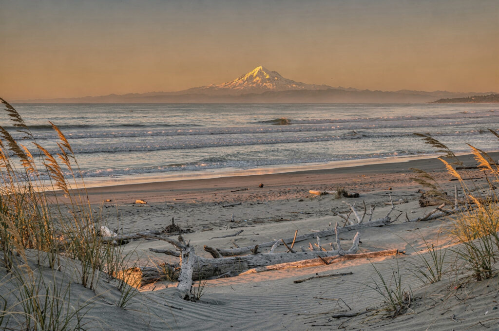 boundary bay beach driftwood mountain v2 Delta BC Photo Spots: Beautiful Views Sandy beach with driftwood and beach grass at sunset with Mount Baker in the distance at Boundary Bay Regional Park