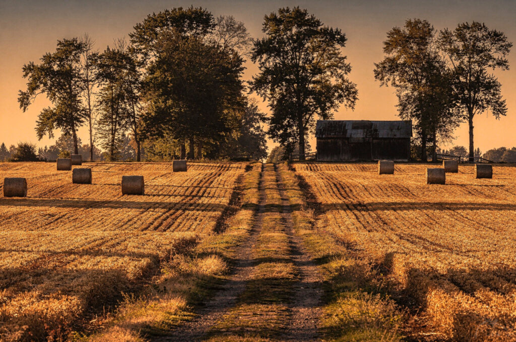 brunswick point farmland dyke v2 Delta BC Photo Spots: Beautiful Views Dyke trail through farmland with hay bales and a barn at sunset near Brunswick Point