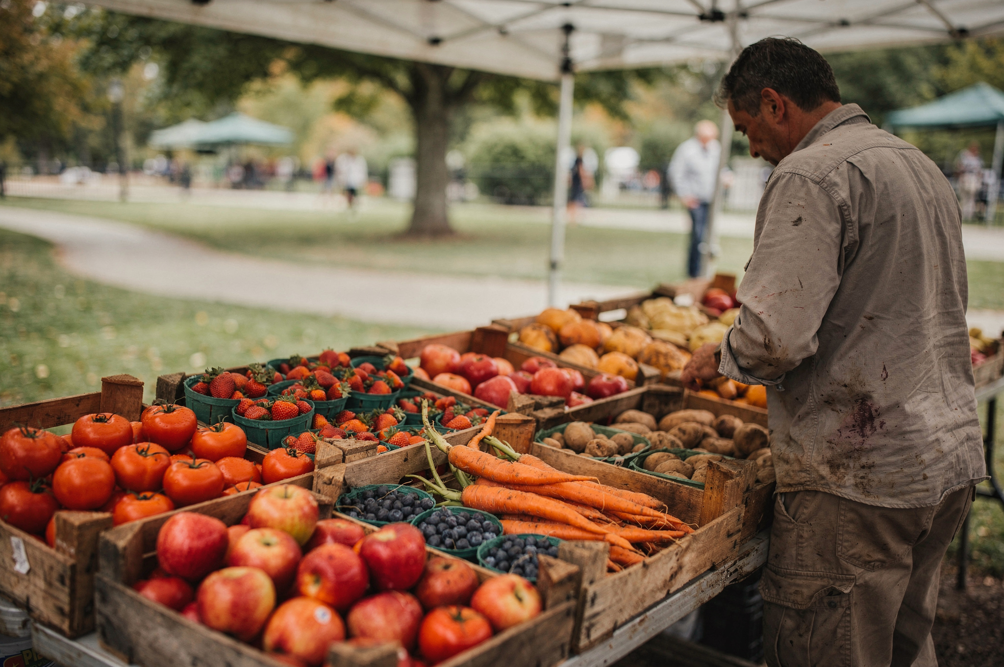 farmer arranging fresh produce at a market stand in Delta